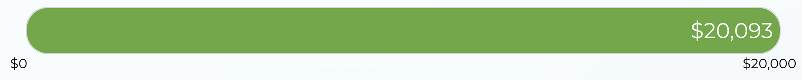 Green progress bar exceeding a $20,000 goal, displaying $20,093 achieved.