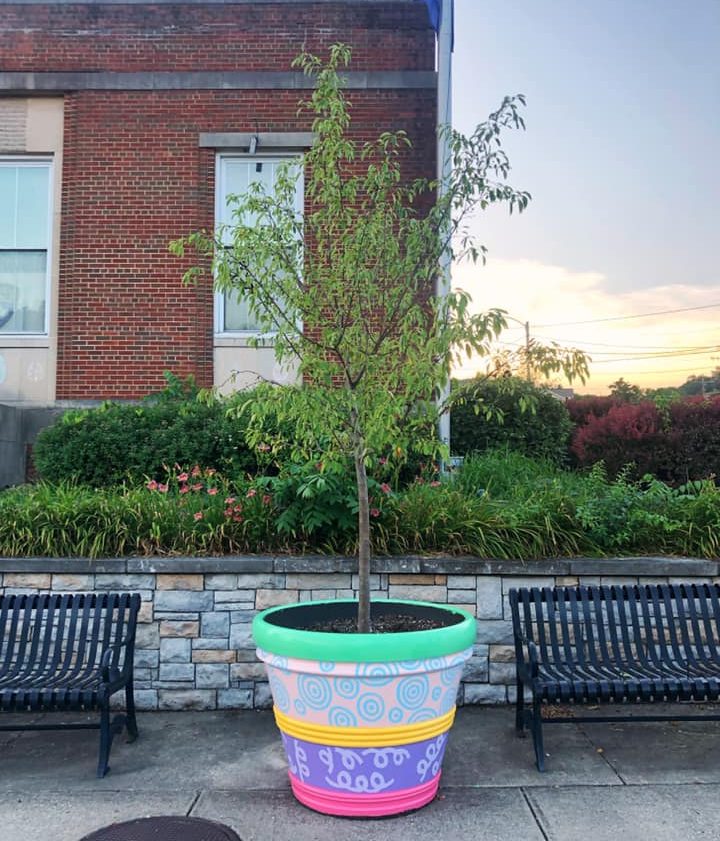 'Small leafy tree planted in a large, colorful painted flowerpot with abstract swirl patterns, placed on a sidewalk between two black metal benches in front of a brick building.'